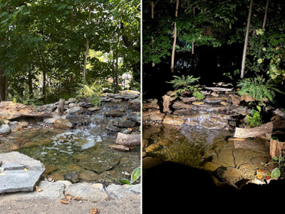 Testimonial, Tallmadge, OH Testimonial 1