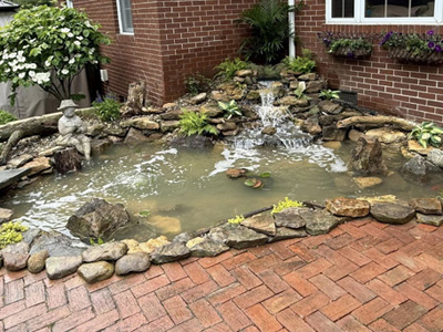 Custom Ponds