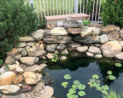 Custom Ponds Installs